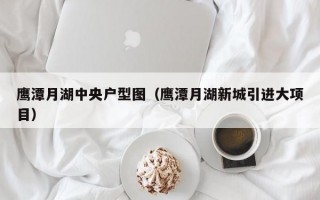 鹰潭月湖中央户型图（鹰潭月湖新城引进大项目）