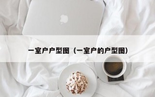 一室户户型图（一室户的户型图）